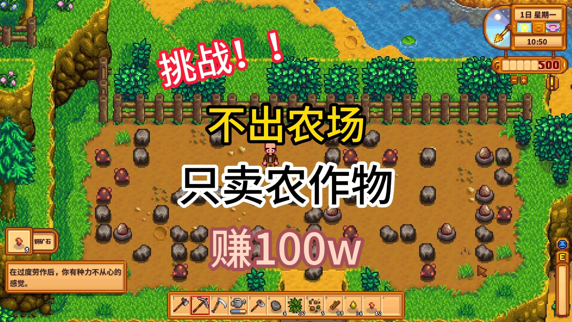 一口气看完新挑战！不出农场仅靠出售作物赚100w