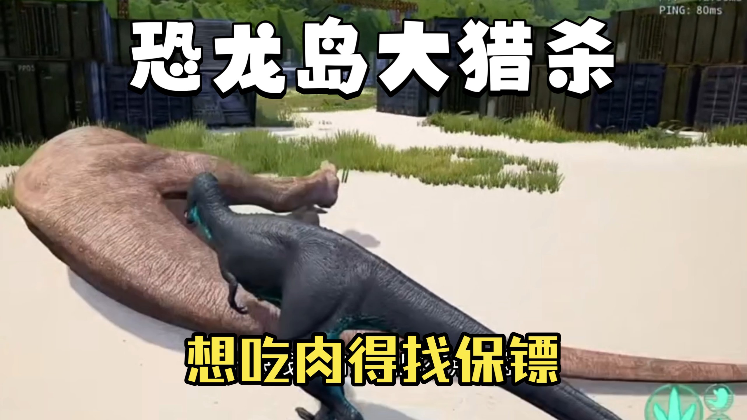 恐龙岛大猎杀（上），有保镖在身边，小龙就有吃不完的肉
