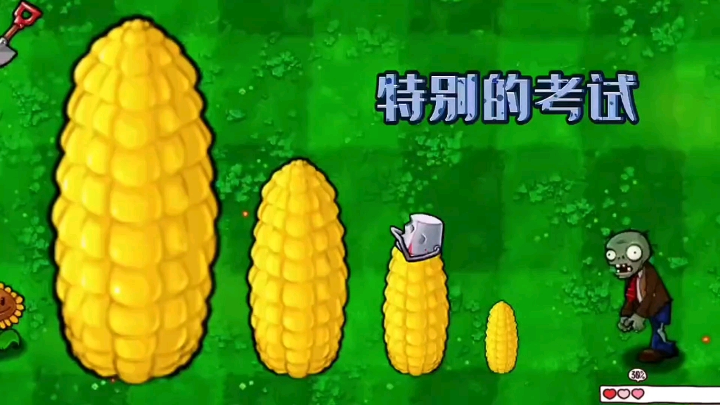 特别考试