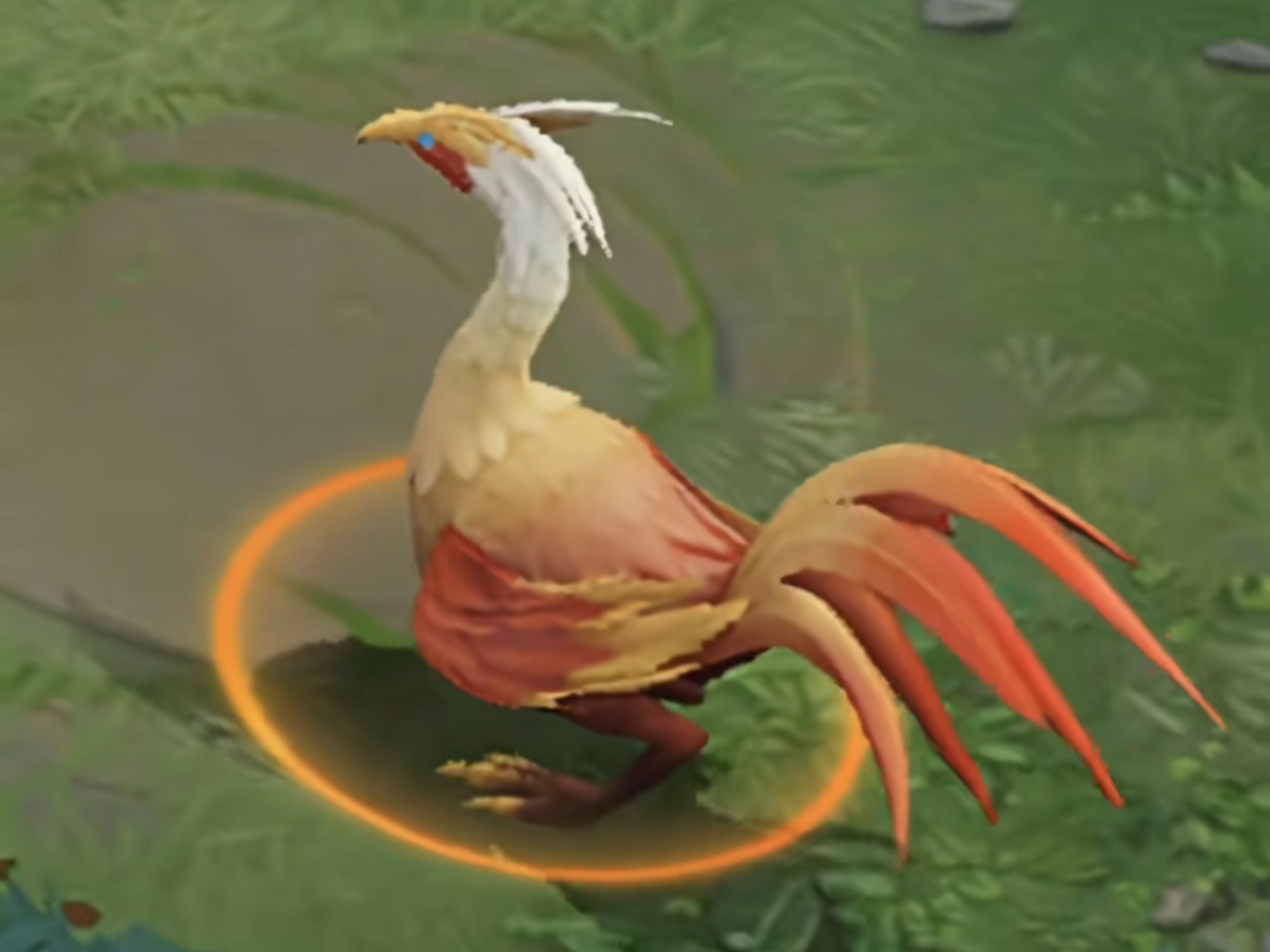 守护最好的美味烧鸡7