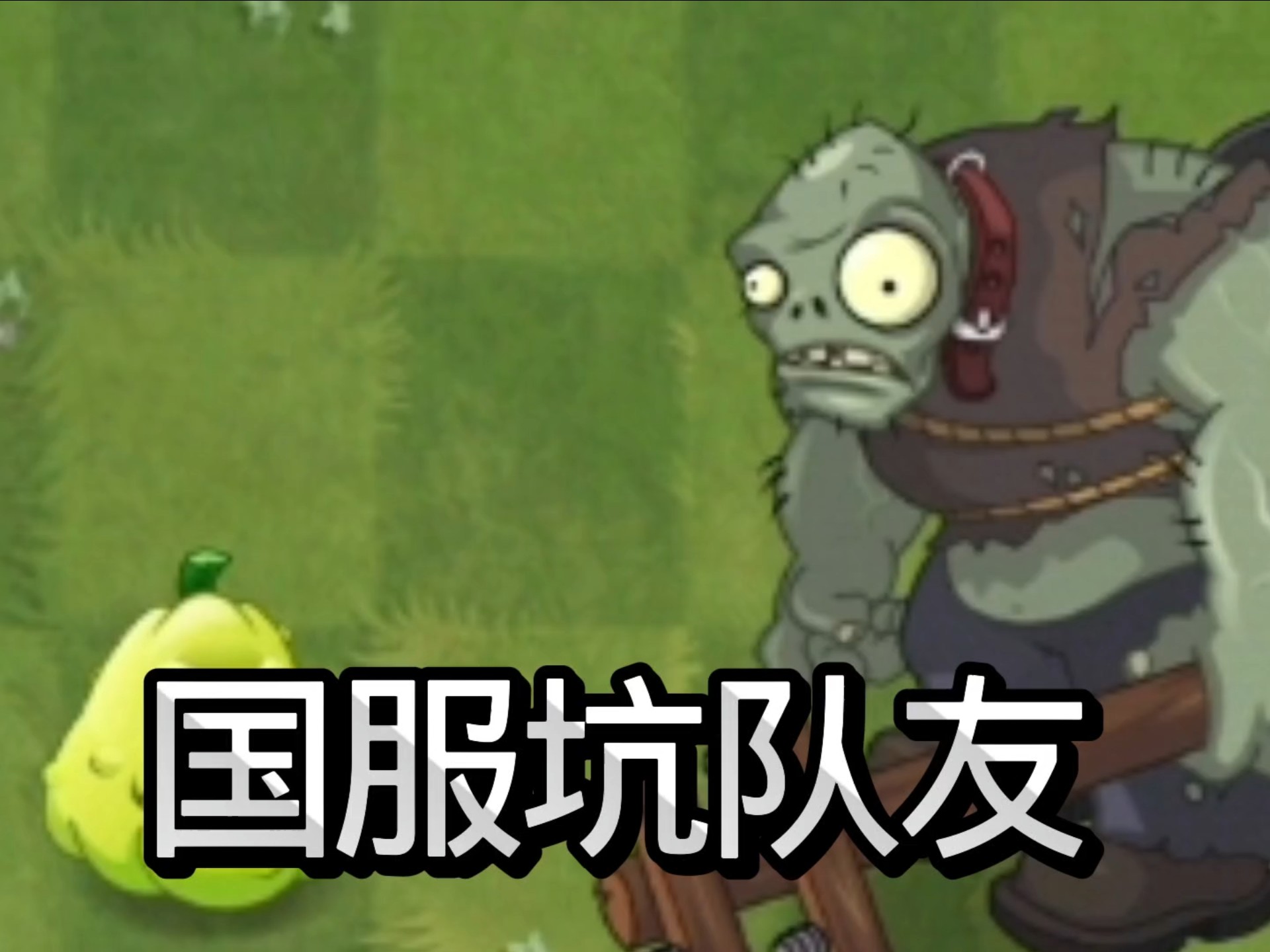 国服坑队友。