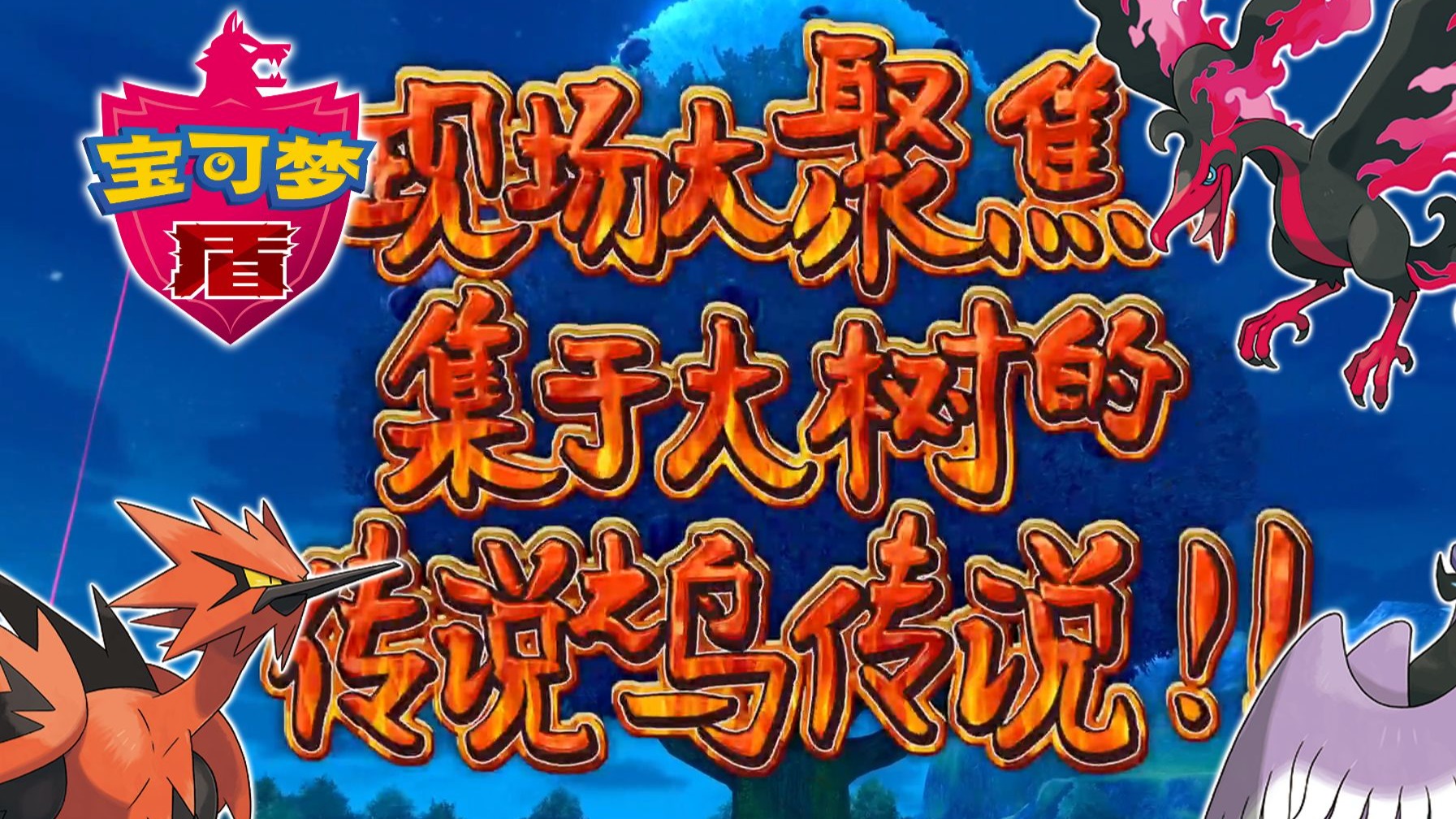 这就是传说中的“三圣鸟”吗？！| 随机宝可梦盾后日谈