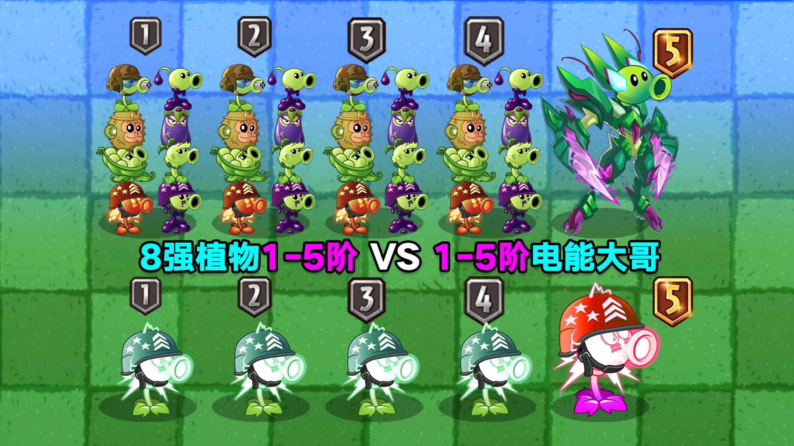 8强植物1-5阶 VS 1-5阶电能大哥！8打1？您礼貌吗？植物大战僵尸2