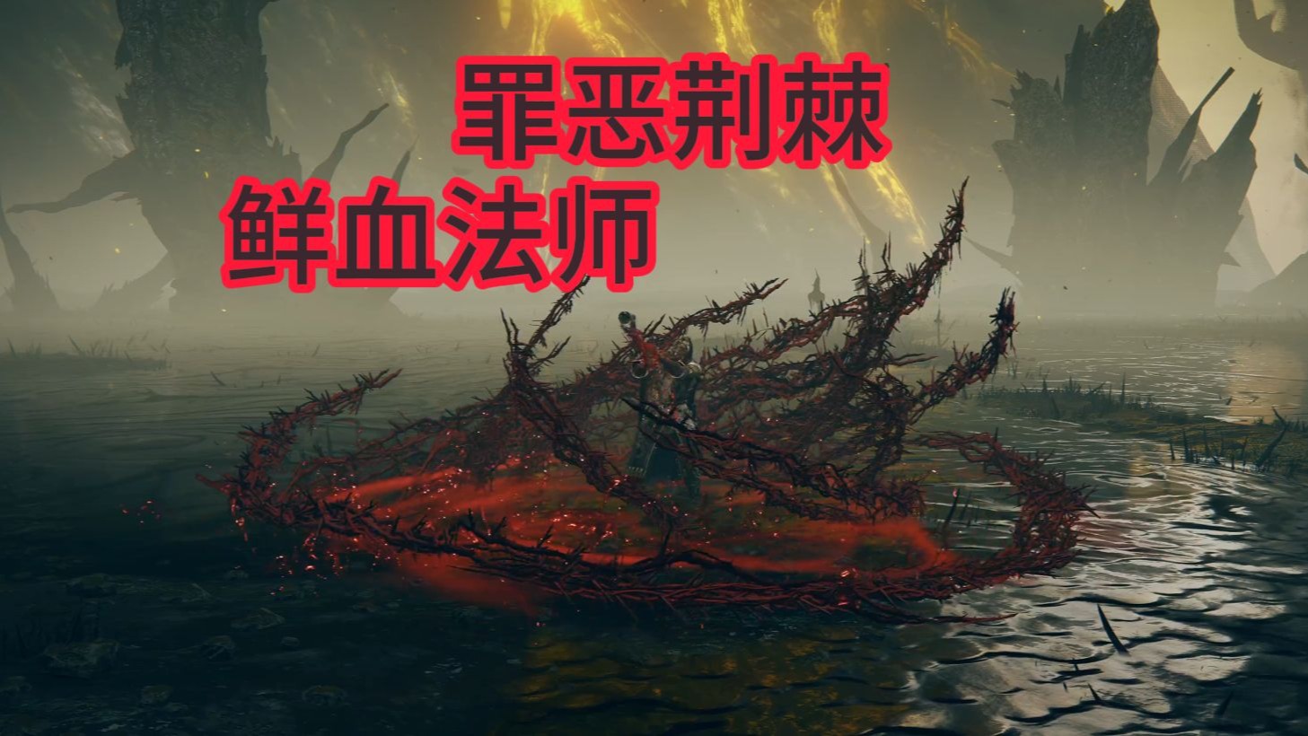 冷门智感鲜血法师 拒绝的刺一发爆血