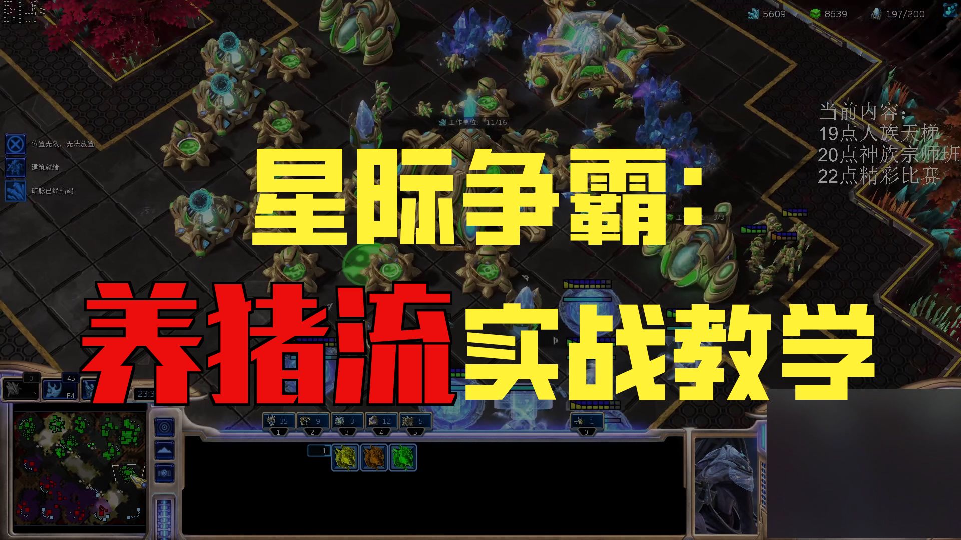 神族打虫族！战术母仪天下！爽就完事了『小金星际实况』