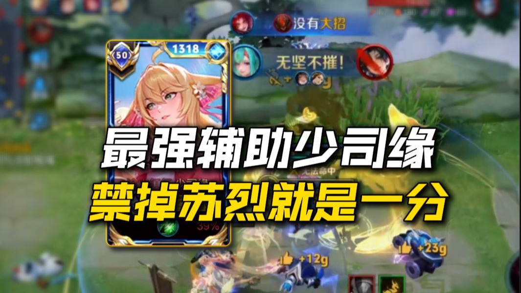 顺风+逆风两局少司缘全局教学！学会至少省标起步！