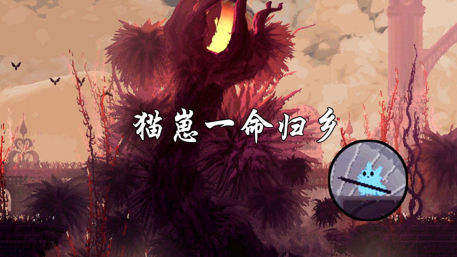别担心，你的猫崽会自己回家——猫崽一命归乡