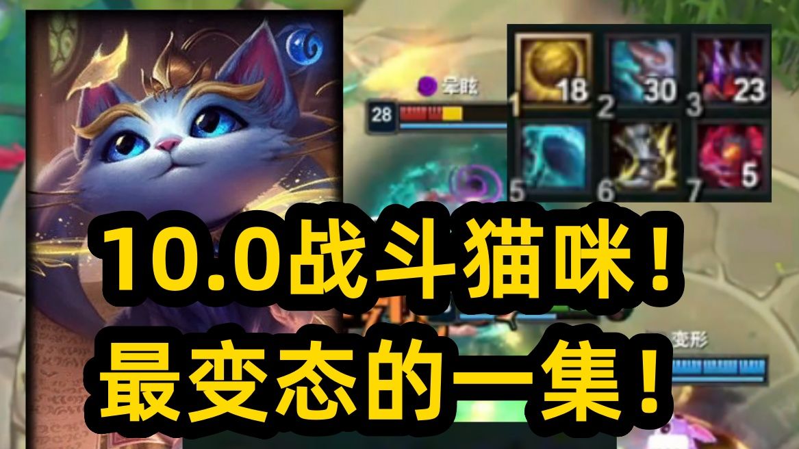 10.0猫咪！猫猫拳直接撸死！猫咪站撸A死VN！10.0计划（10000+）奖池！