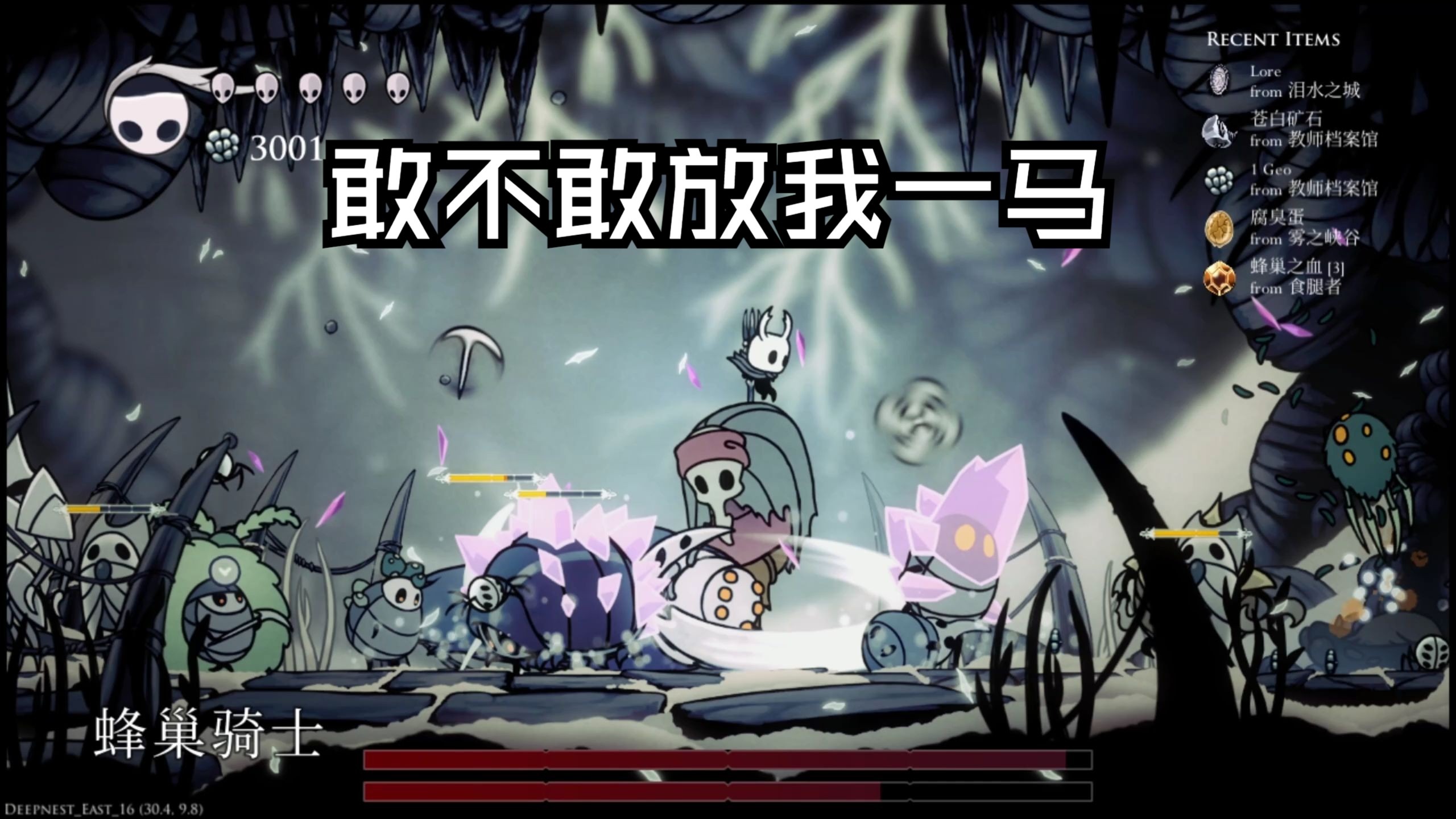 [空洞骑士随机mod]第五集