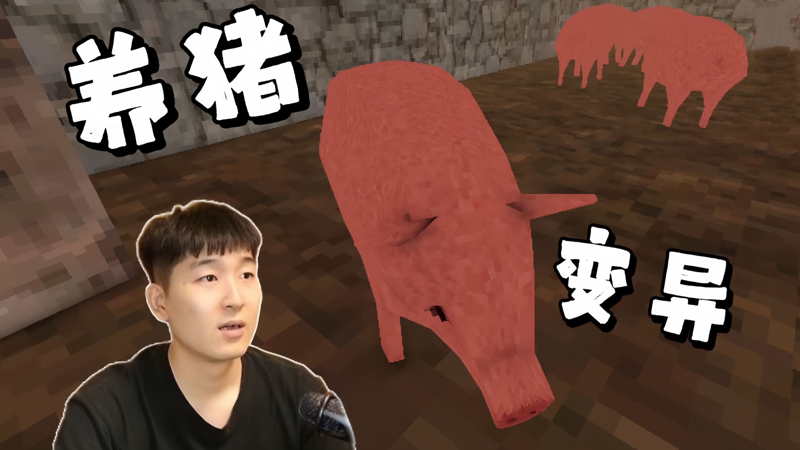 喂猪养猪杀猪菜 深夜惊现猪肉馅