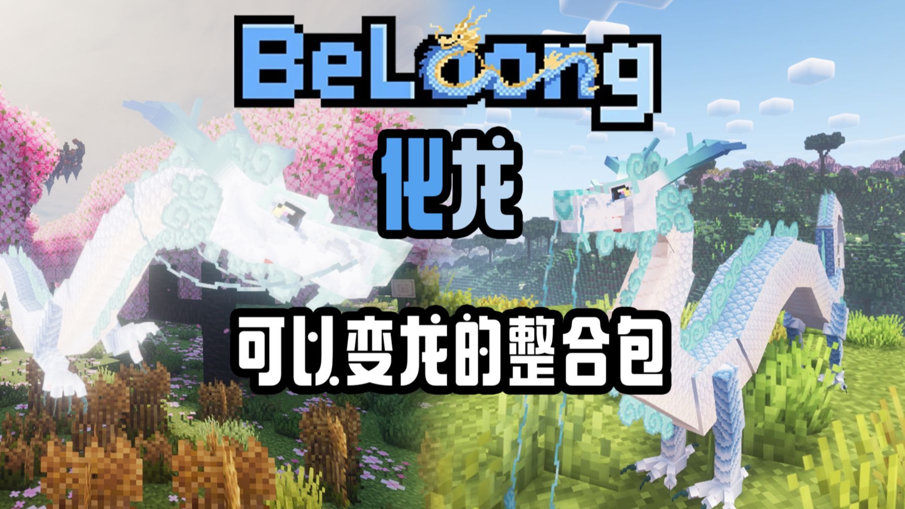 化龙！变身善良以太龙！开局就能飞！【我的世界】化龙 整合包 实况
