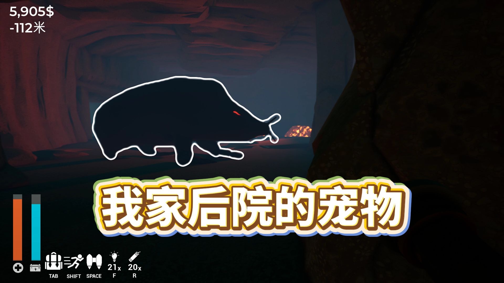 1万美刀买房子，后院还送一只巨型宠物！