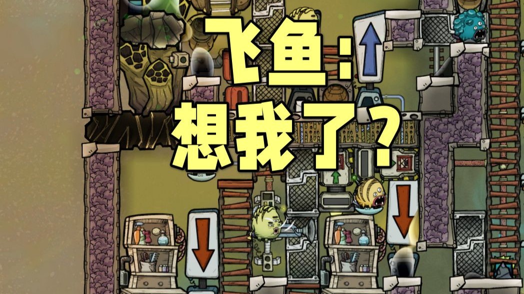 缺氧长期档#33，飞鱼：不养我吗？我能给你拉粑粑