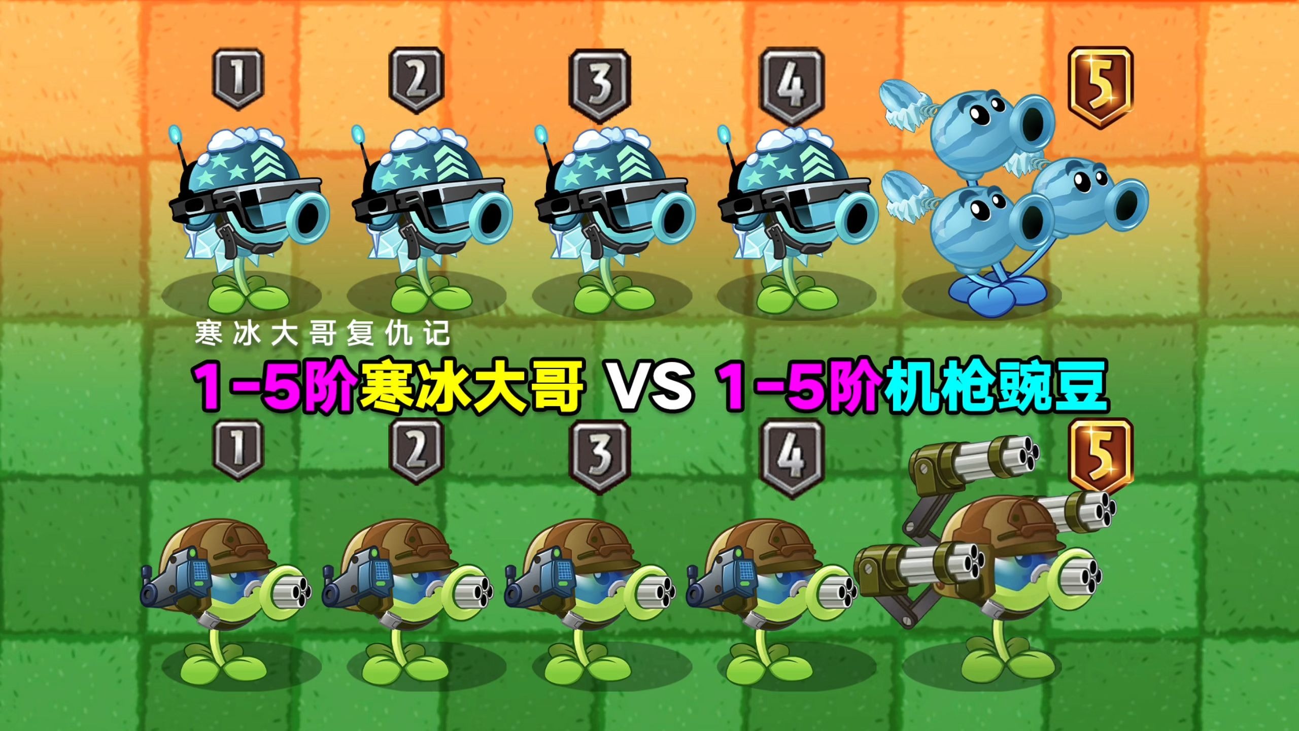 1-5阶寒冰大哥 VS 1-5阶机枪豌豆！寒冰大哥复仇记，能成功吗？