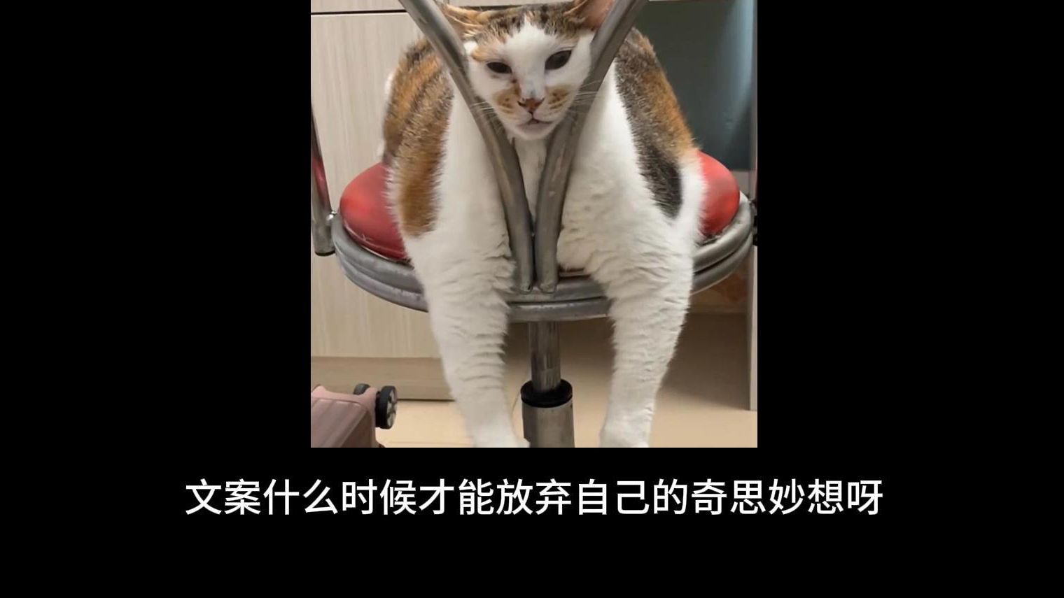 飘洋过海来累你【夏以昼沙滩卡吐槽】