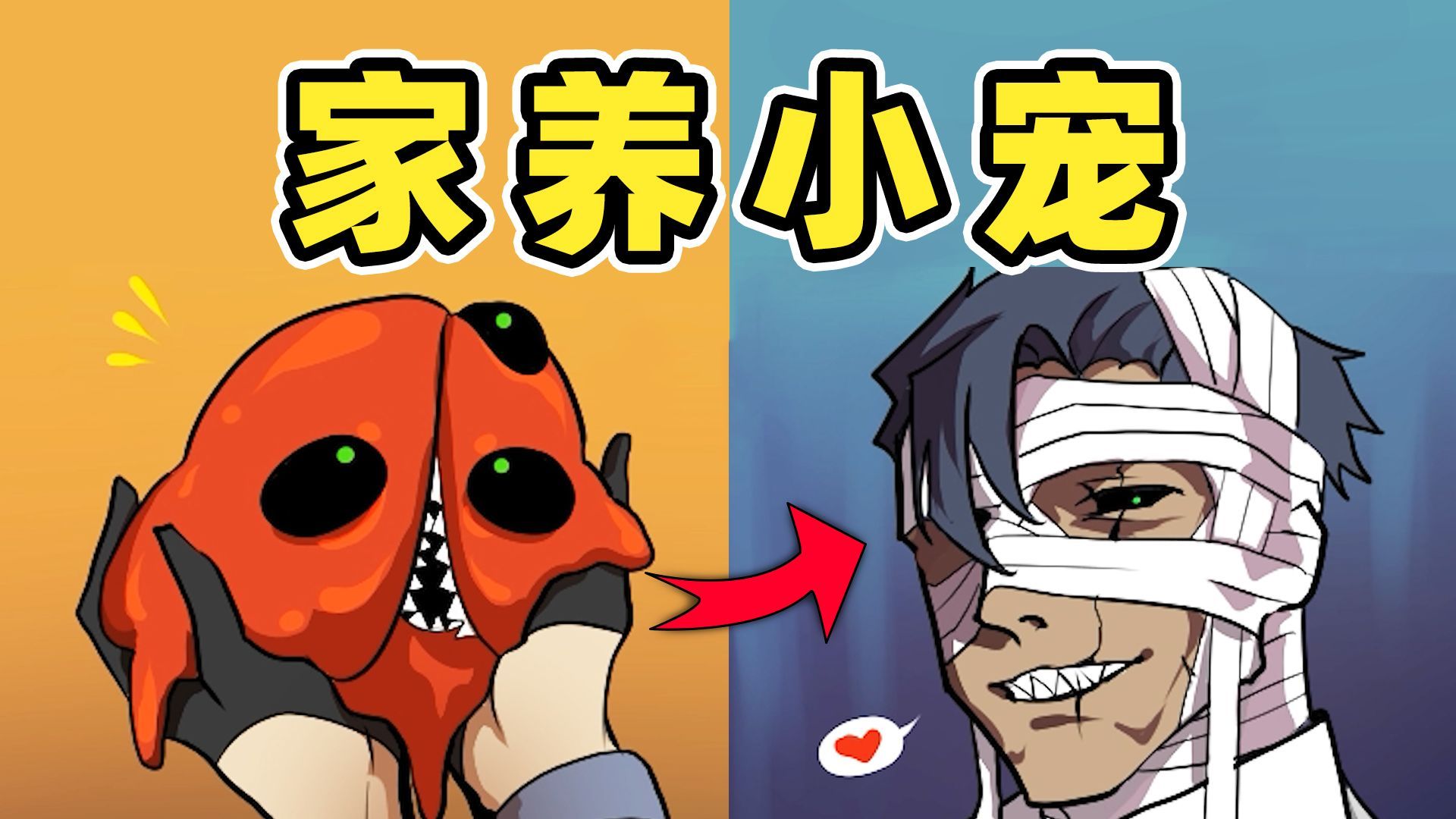 警告！别乱喂养肉块宠物！