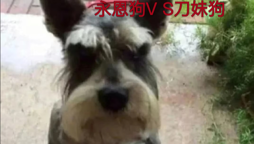 LOLM重生之与刀妹爱恨情仇