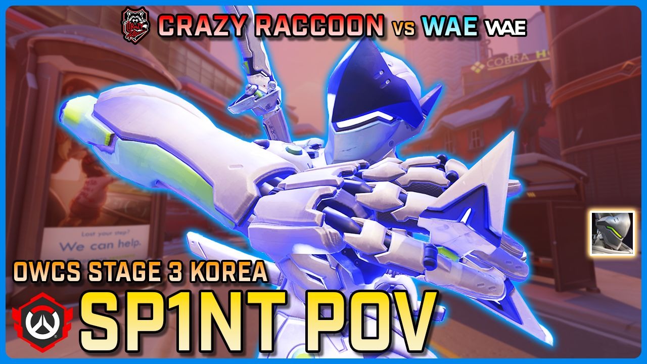 [ Sp1nt ] The new BEST Flex DPS?! | Crazy Raccoon vs WAE