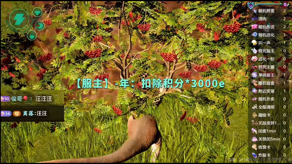 20250901阿福✈️直播回放