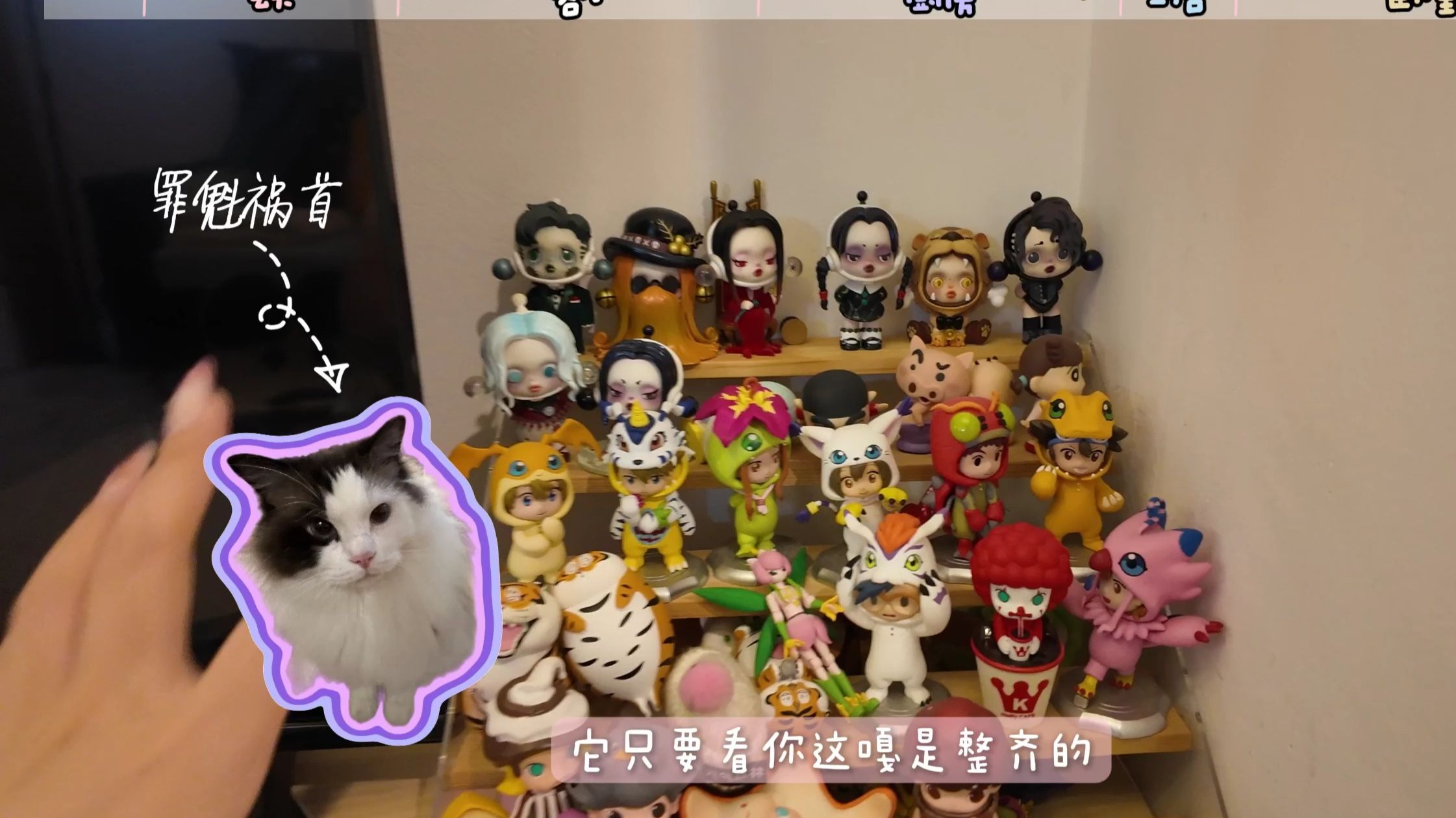 roomtour丨欢迎来我家做客~