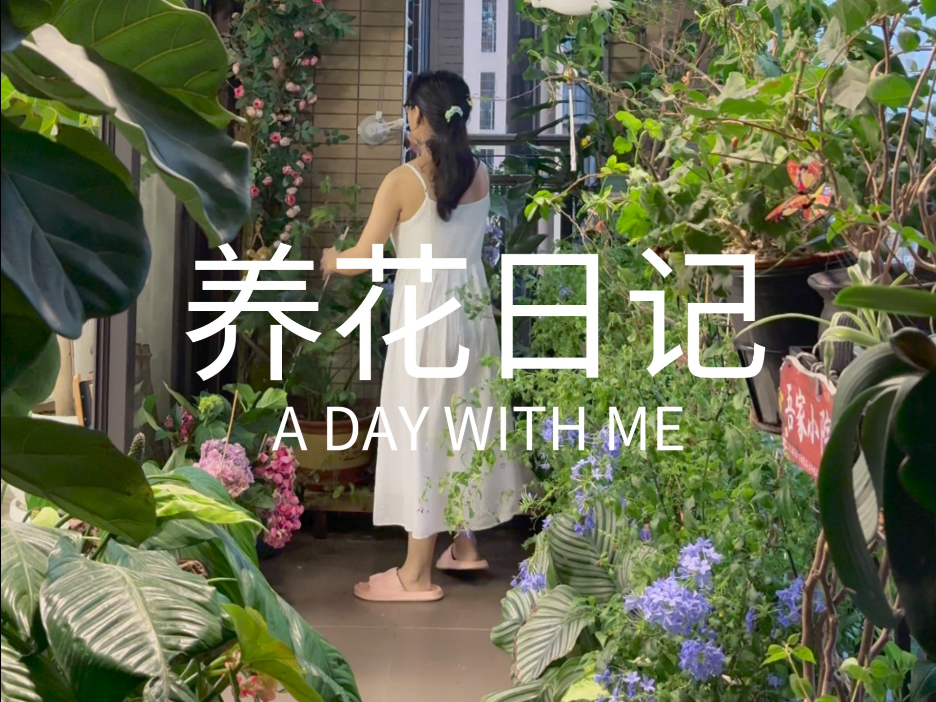 沉浸式体验，不封阳台养花，台风来临怎么办？