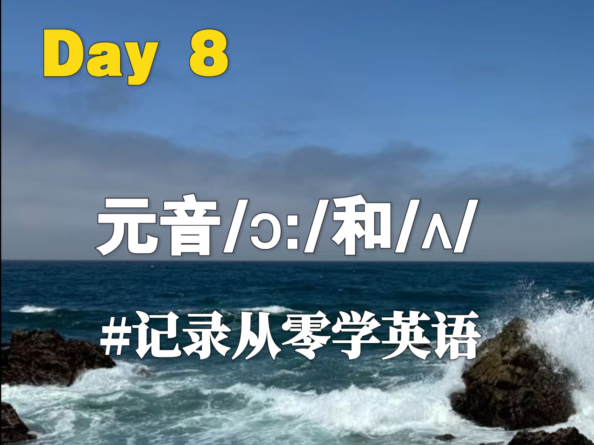 英语学习打卡第8天，中年人零基础从零开始学英语，今天学习了元