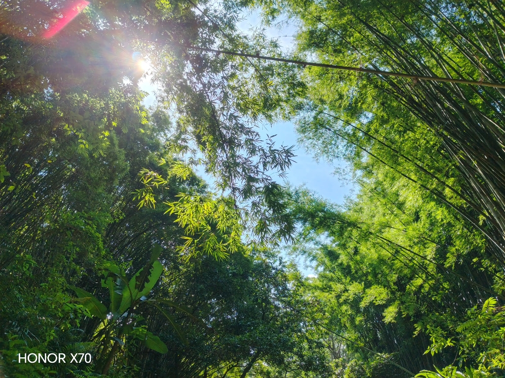 4-5年级