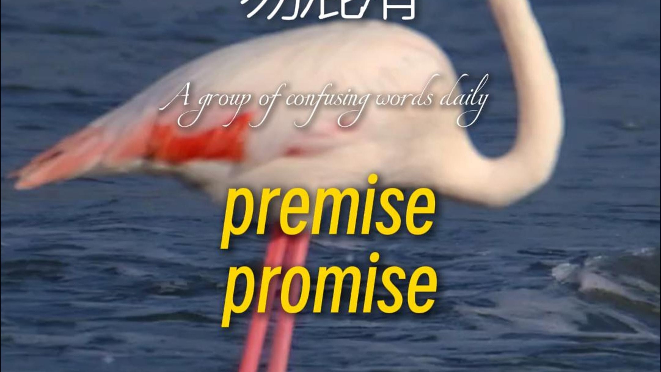 易混词premise/promise