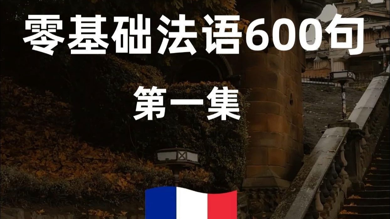 全法交流，真的很恶心，反反复复就这600句！【法语口语】