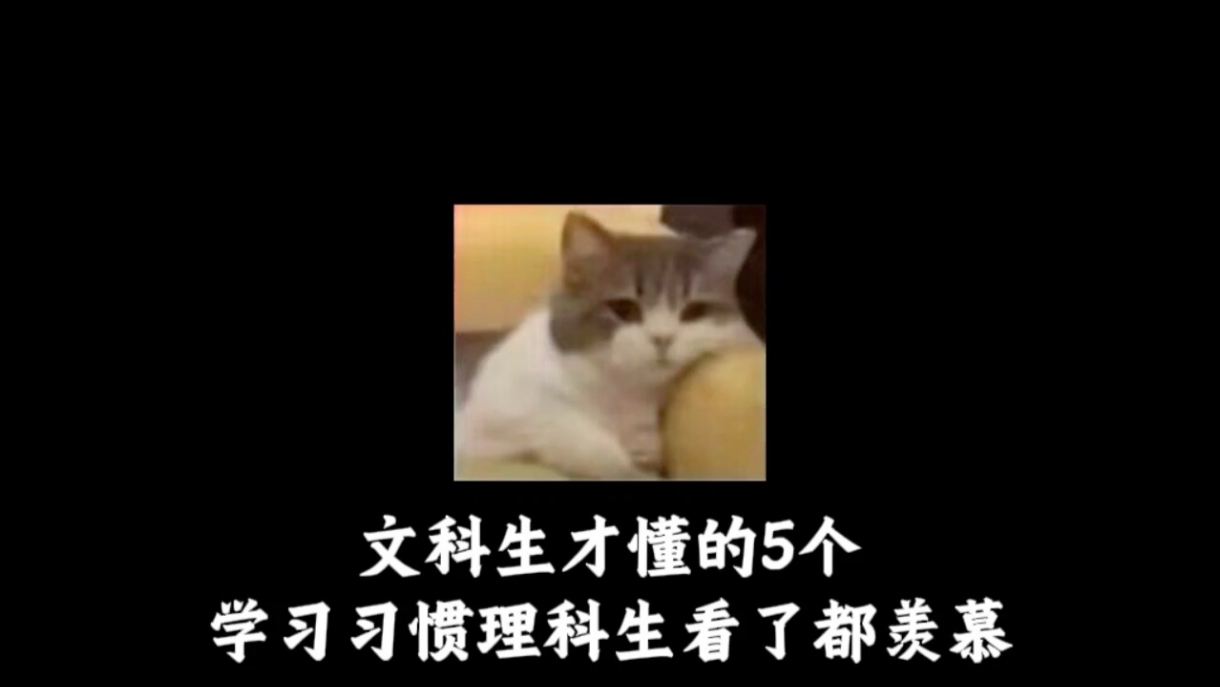 文科生才懂的的5个学习习惯