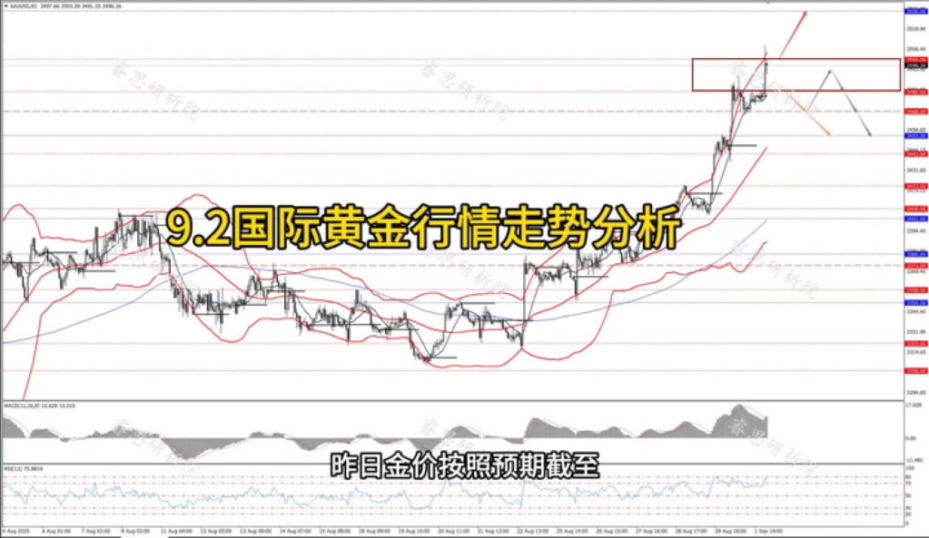 今日金价分析