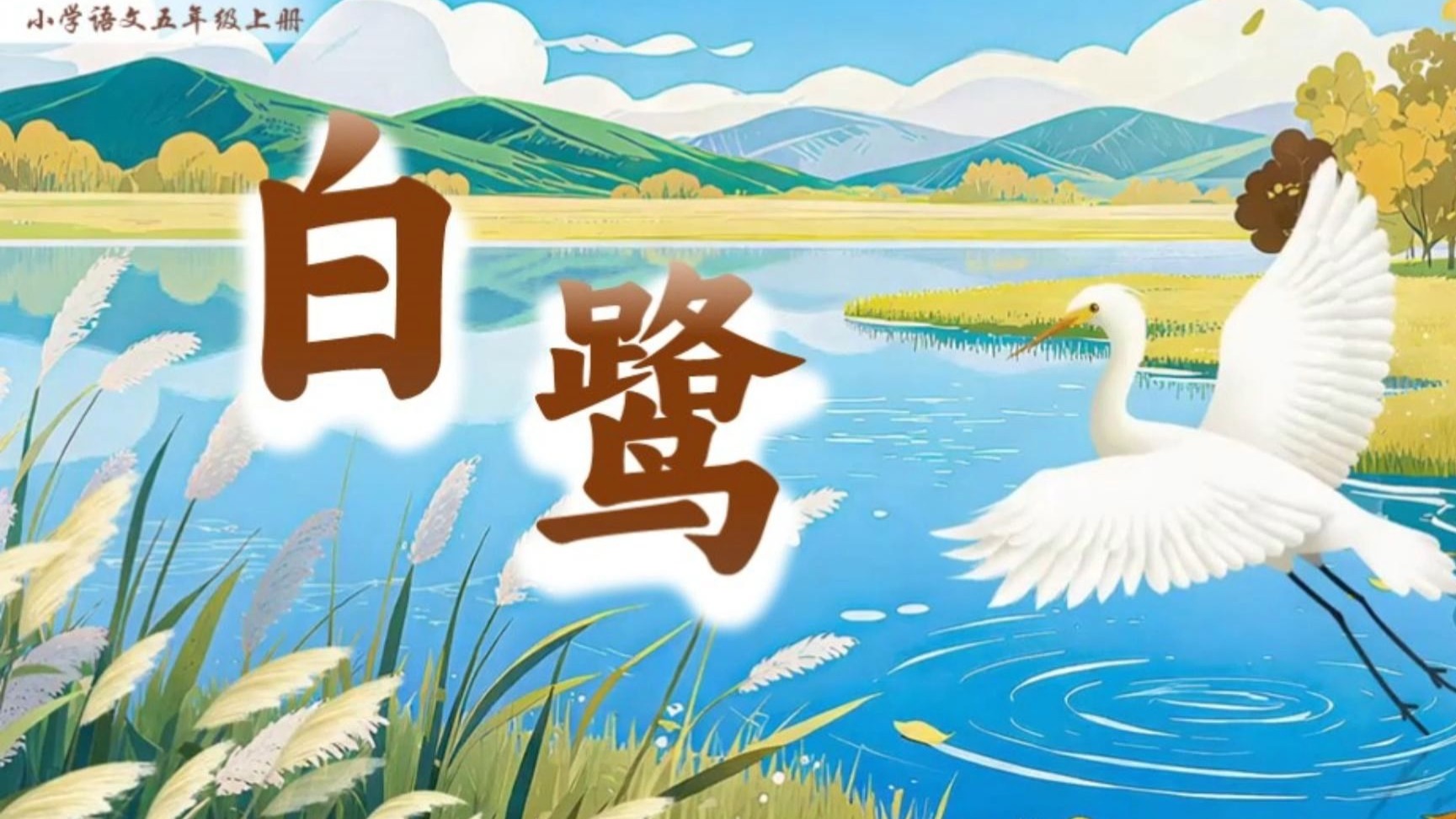 五上语文《白鹭》一节课读懂"韵在骨子里的散文诗"