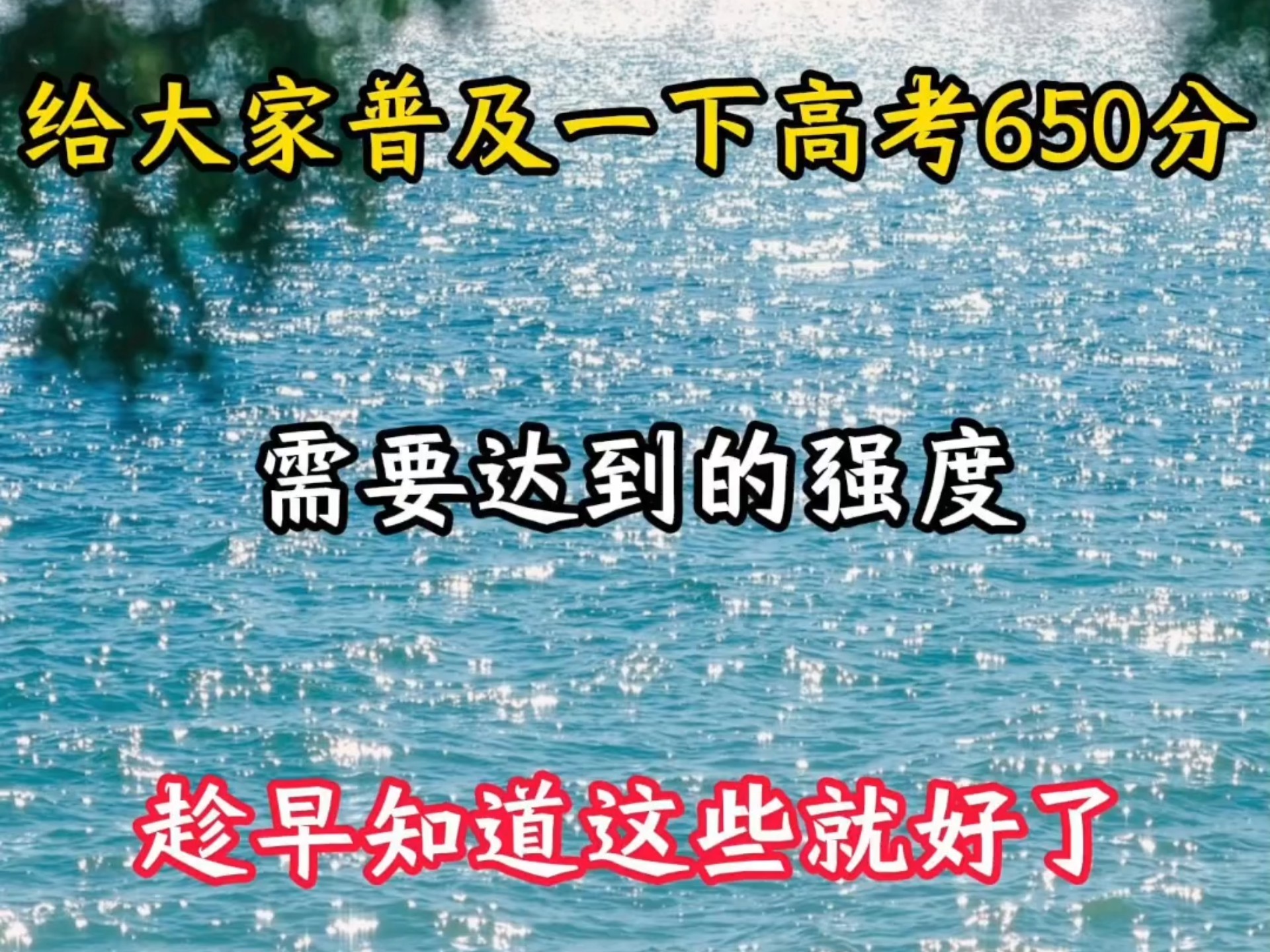 高考650分 需要达到的强度 早点知道就好了