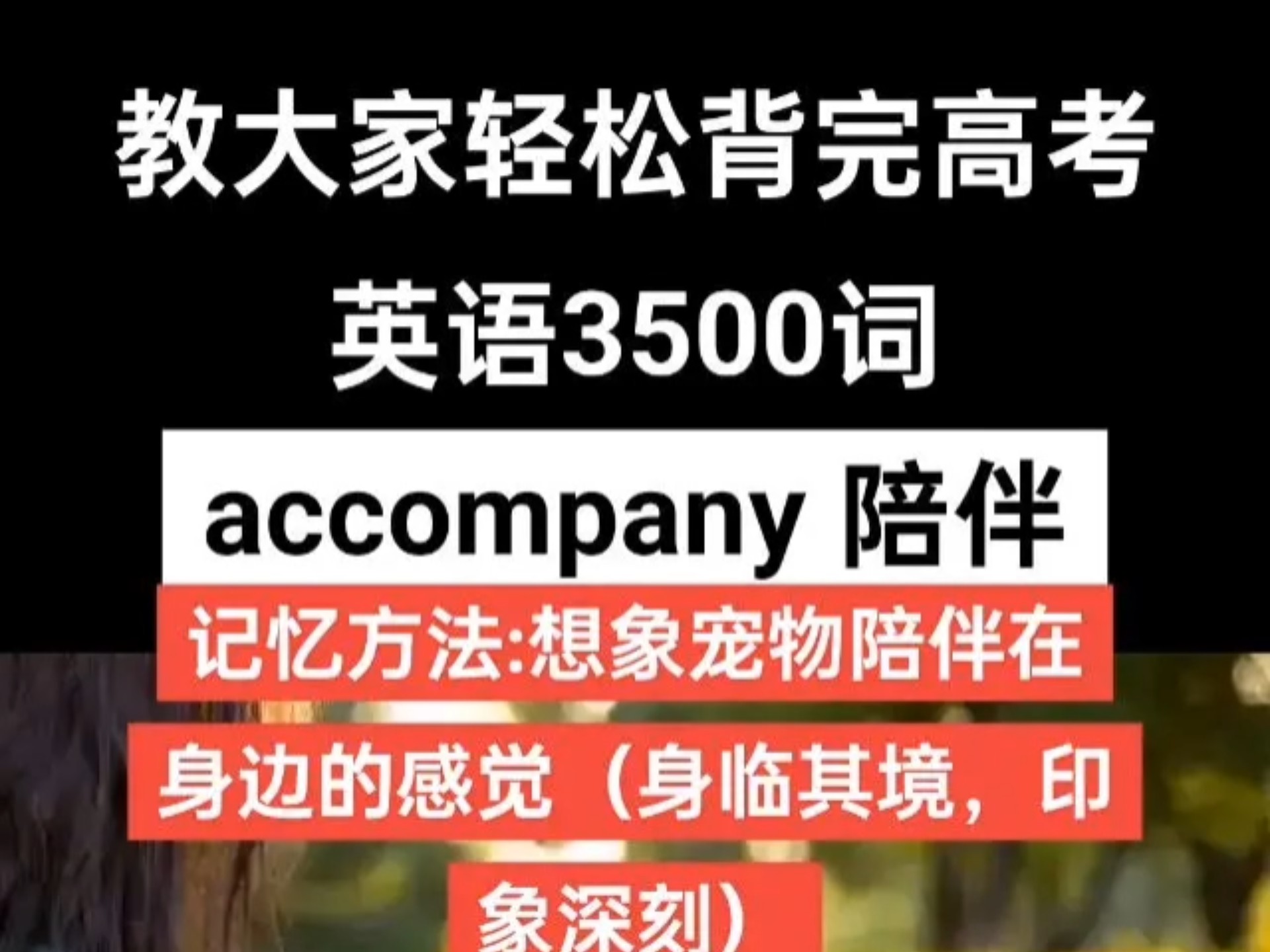 教大家轻松背完高考英语3500词
