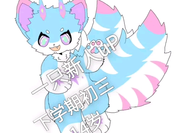 新人的出现！！！！！！！