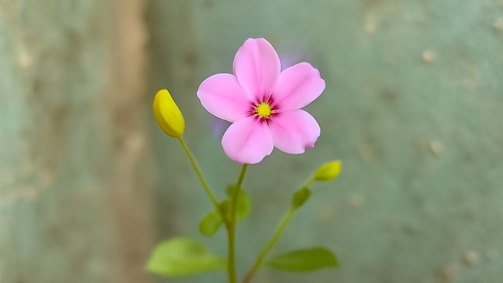 _from=creative_home_top_upload