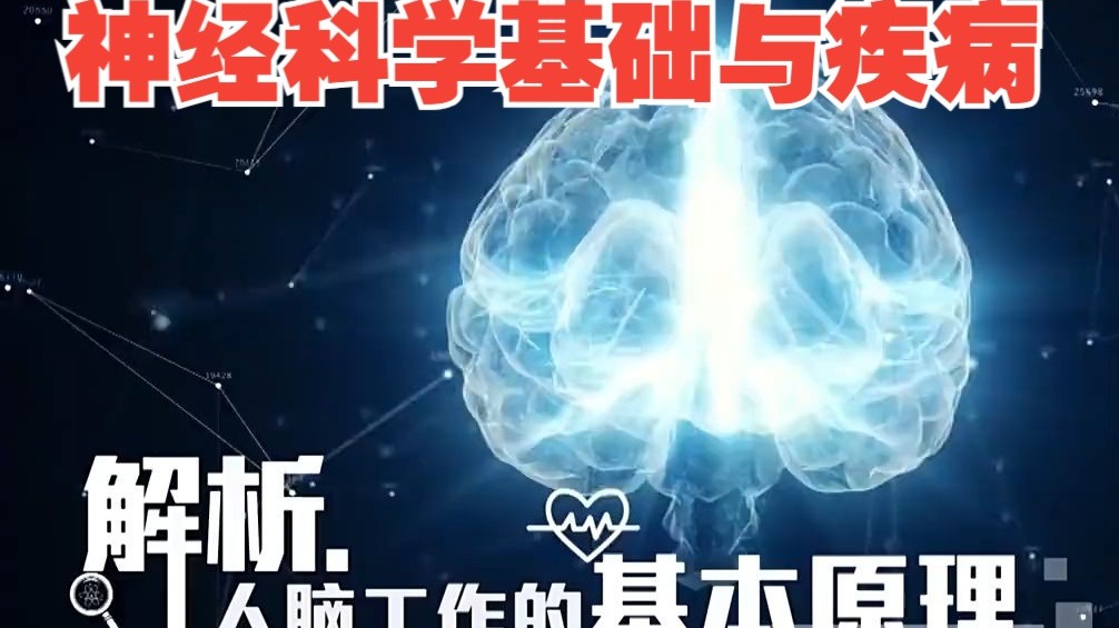 【浙江大学】神经科学基础与疾病【全56讲】主讲教师：罗建红 