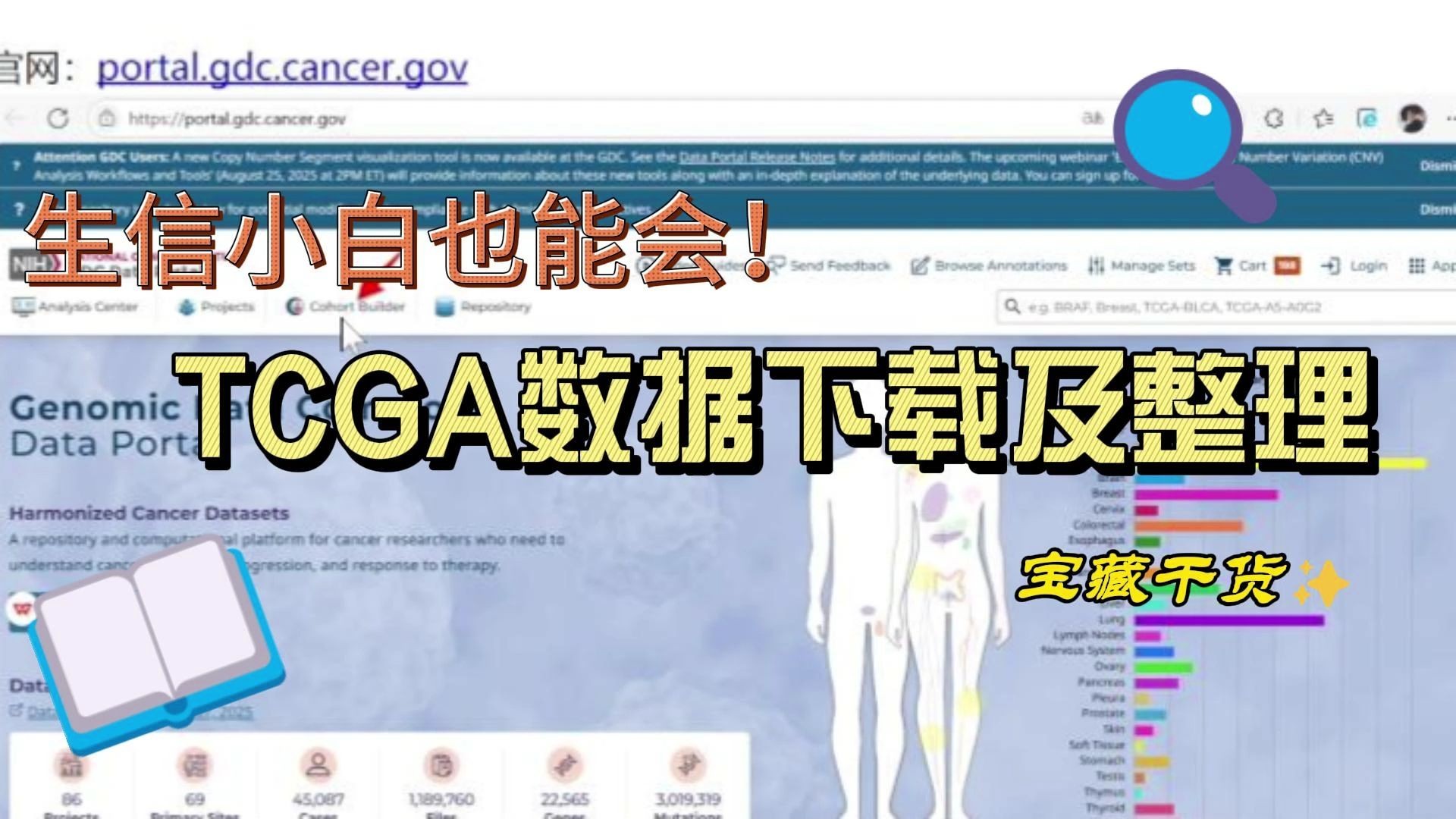 TCGA数据下载及处理