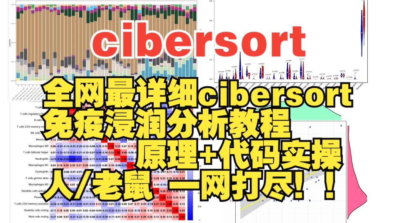 18（附代码）GEO生信基础课-全网最详细cibersort免疫浸润分析教