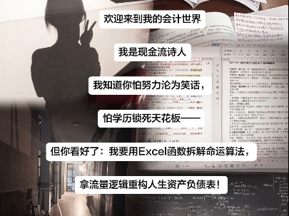 我是把账本写成诗的人。  在借贷分录里埋下火种，用现金流量表