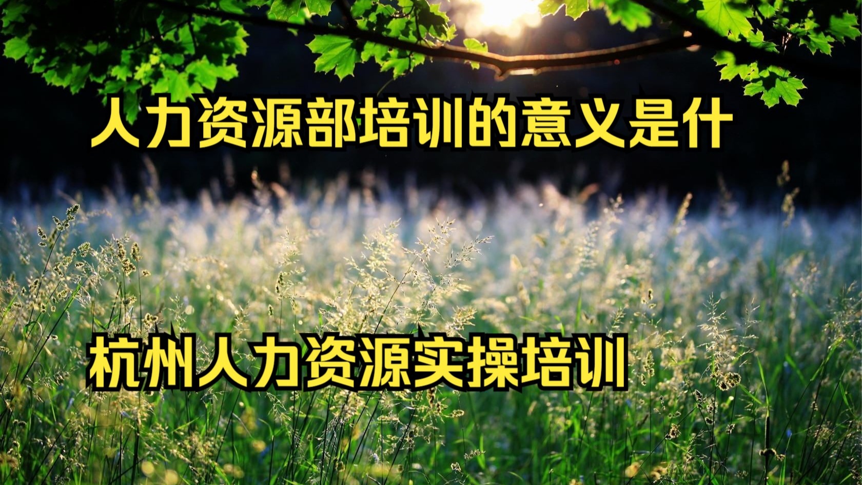 人力资源部培训的意义是什么 杭州人力资源实操培训 军博高级