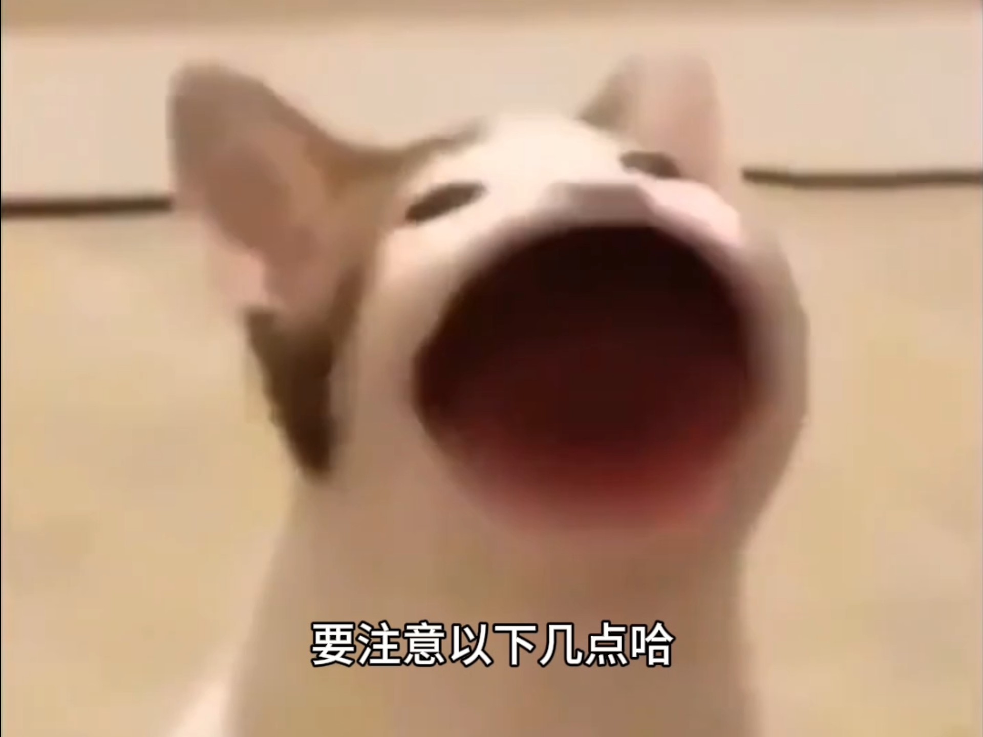 大学生第一次家教怎么做得好？
