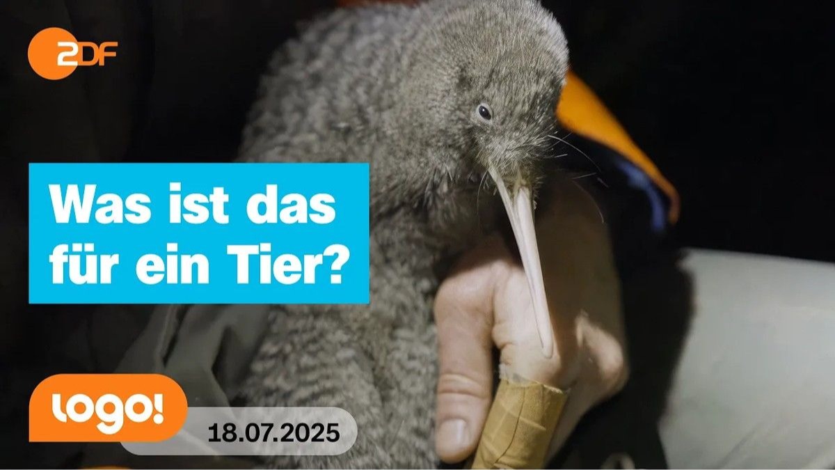 20250718青少年德语新闻  die Kindernachrichten des ZDF - 