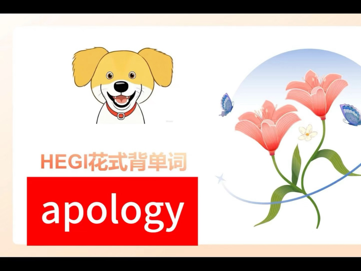 轻松记单词apology