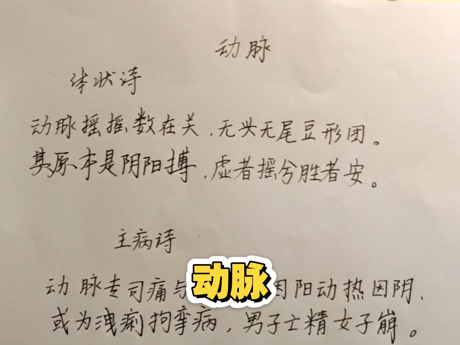 动脉(濒湖脉学)