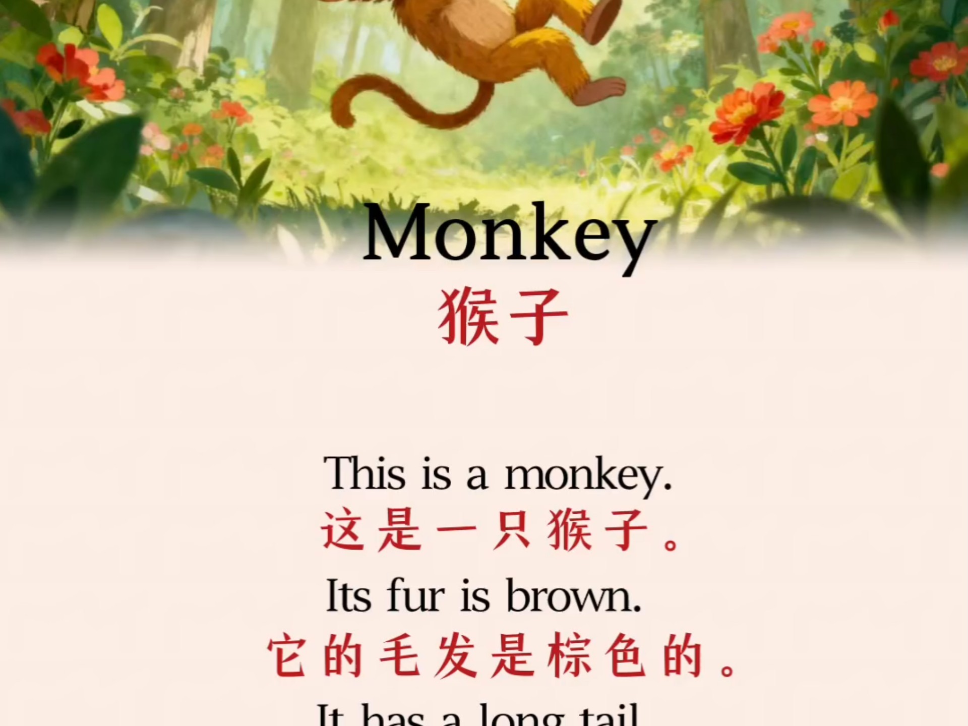 ❤️每日英语听读/猴子#英语晨读#零基础英语#英语启蒙#英语小