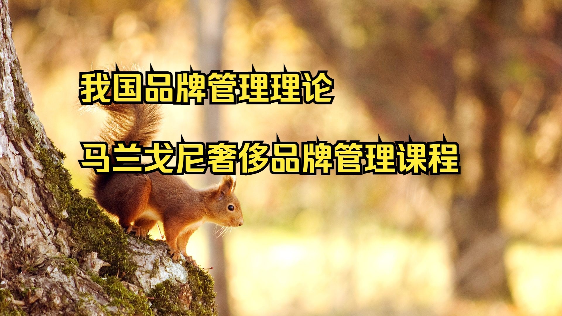 我国品牌管理理论 马兰戈尼奢侈品牌管理课程 品牌管理期末知