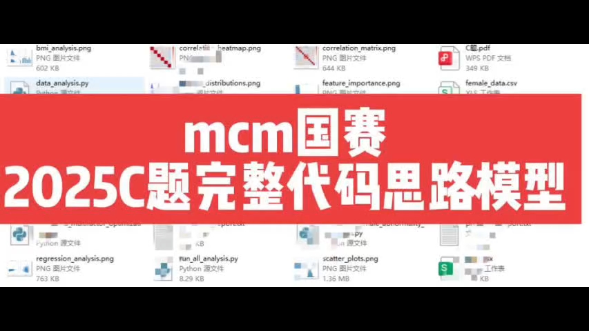 2025数学建模国赛C题完整代码模型思路共29个项目文件