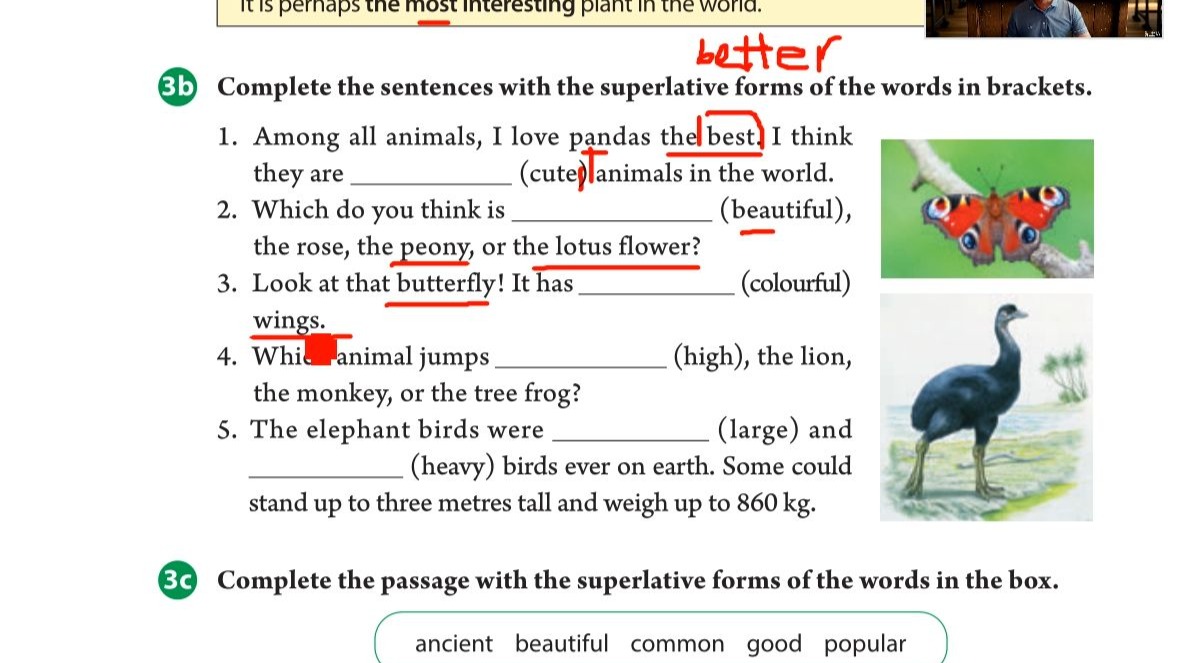 八年级英语上册（24新版）单元要点梳理 Unit 4 语法重点