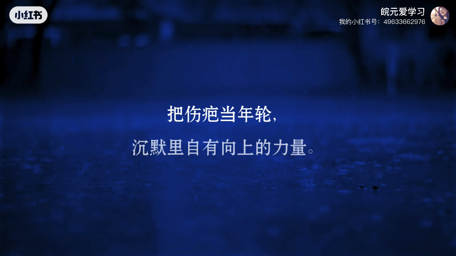 关于成长的好句